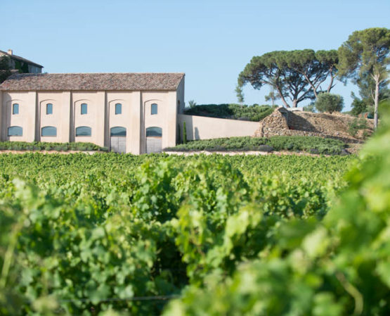 green rows of grape growing with vineyard house on a mountain of barbeyrolles vineyard in France