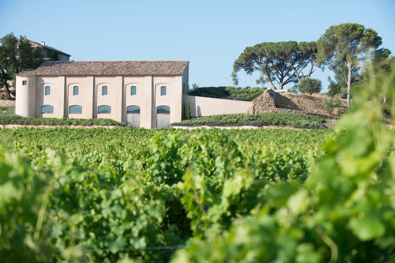 green rows of grape growing with vineyard house on a mountain of barbeyrolles vineyard in France